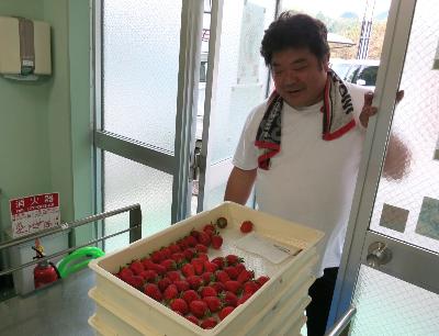 いちごを給食センターに納品する生産者さん