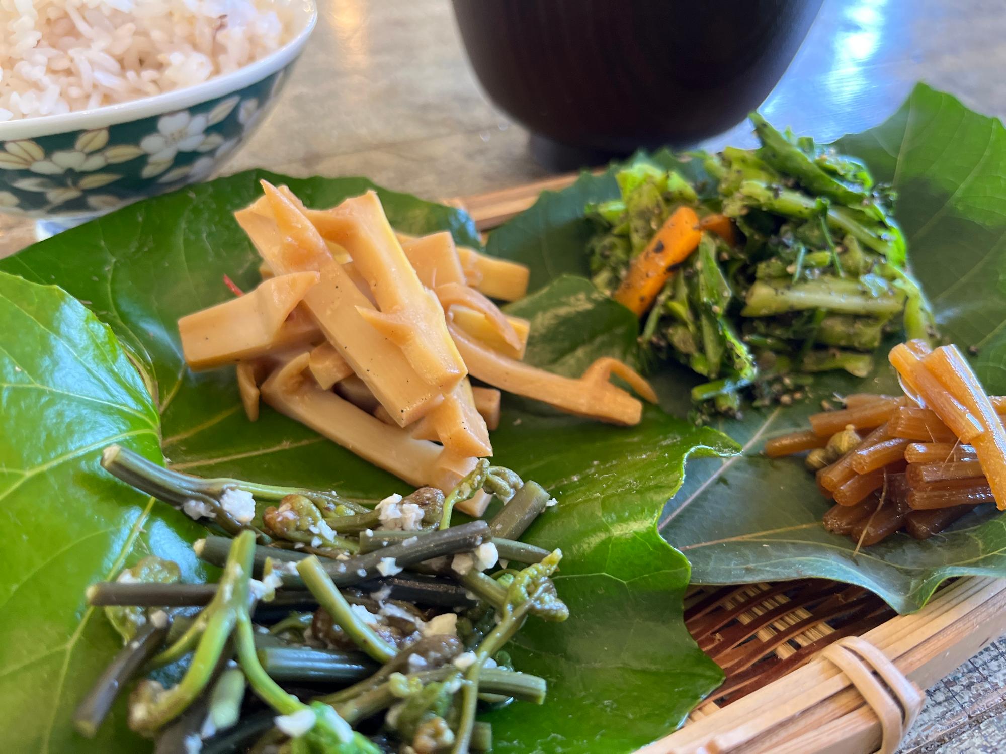 もぐらの寝床定食