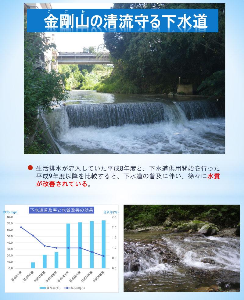 金剛山から流れる川の写真と下水道普及による水質改善の効果を表したグラフ