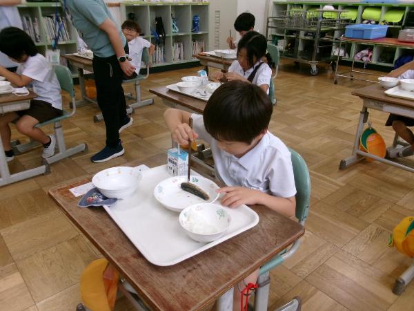 おさかなデーのようす（赤阪小学校1年生）