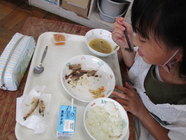 がんばって魚をほぐす千早小吹台小学校4年生