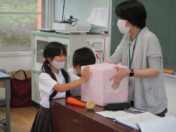 ひみつボックスに手をいれて、中に入っている野菜が何か考える、赤阪小学校2年生