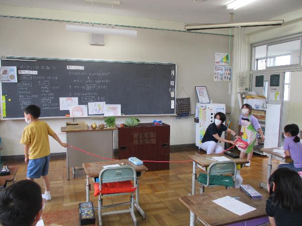 ぬいぐるみを使って、小腸の長さを確認する千早小吹台小学校2年生