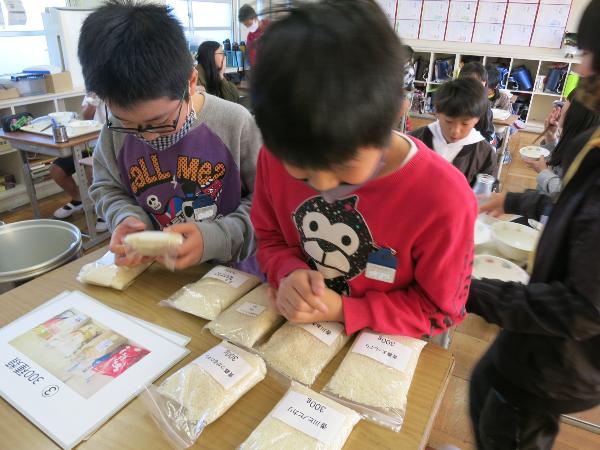 色々な米の種類を見る千早小吹台小学校5年生
