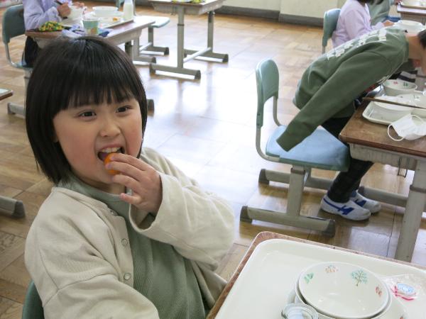 きんかんをかじる、千早小吹台小学校1年生