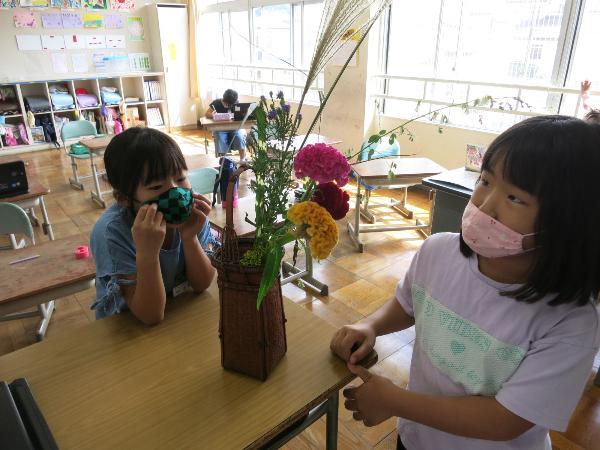 秋のお花を眺める、千早小吹台小学校3年生