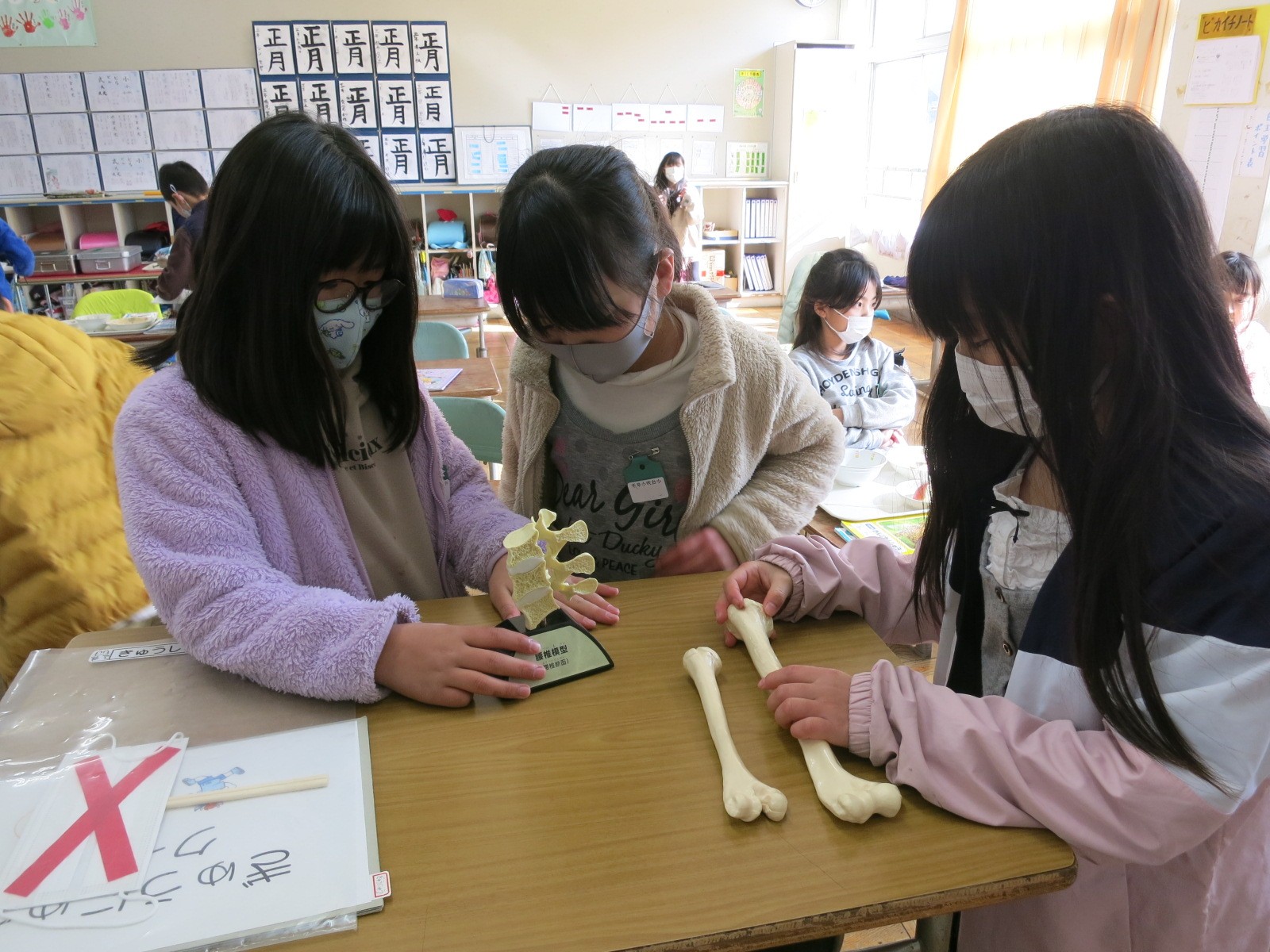 骨の模型を見る千早小吹台小学校3年生
