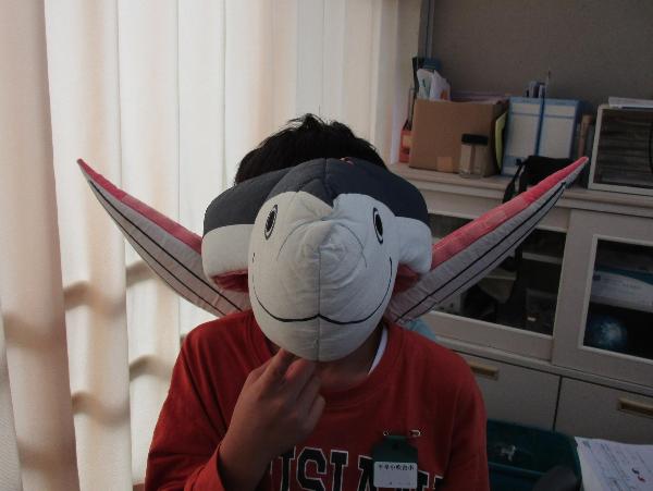 おさかなデーのようす（千早小吹台小学校5年生）