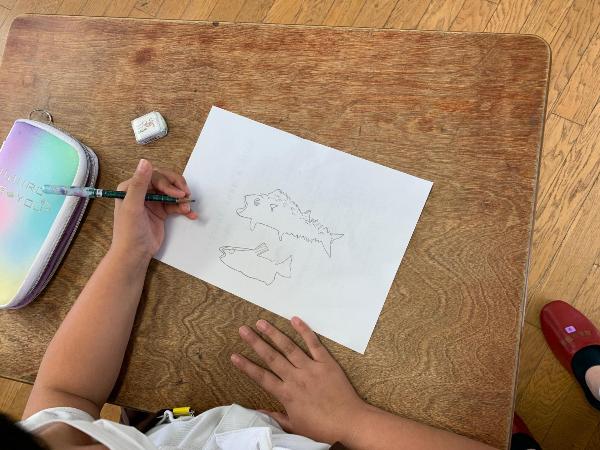 魚の絵を描く赤阪小学校3年生