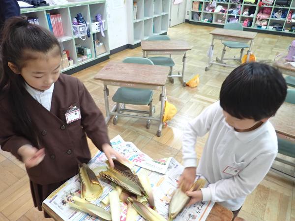 たけのこの皮をさわってみる赤阪小学校2年生