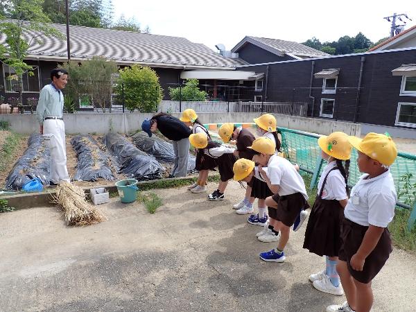 苗植え当日、農家さんに挨拶をする2年生