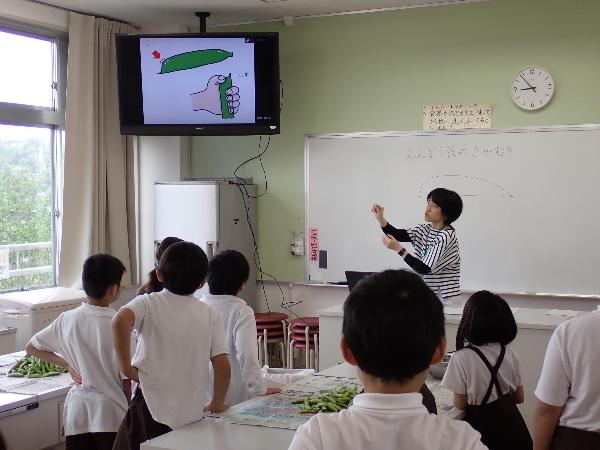 えんどう豆のさやむきの説明を聞く、赤阪小学校3、4年生