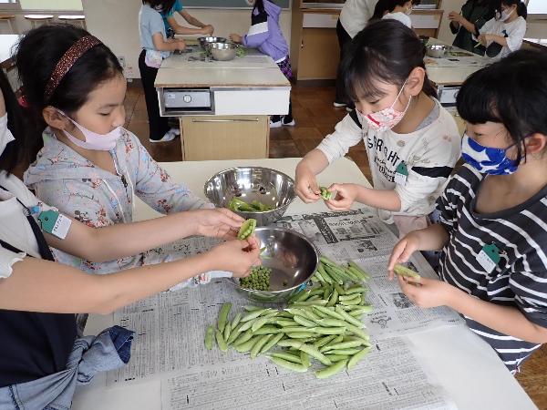 はじめてのさやむき活動、慎重にさやむきをする千早小吹台小学校3.4年生