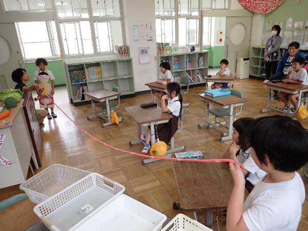 ぬいぐるみを使って、小腸の長さを確認する赤阪小学校2年生