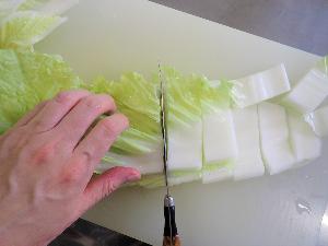 白菜の根元を切るところ