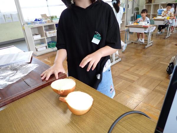 玉ねぎの断面を見る千早小吹台小学校2年生