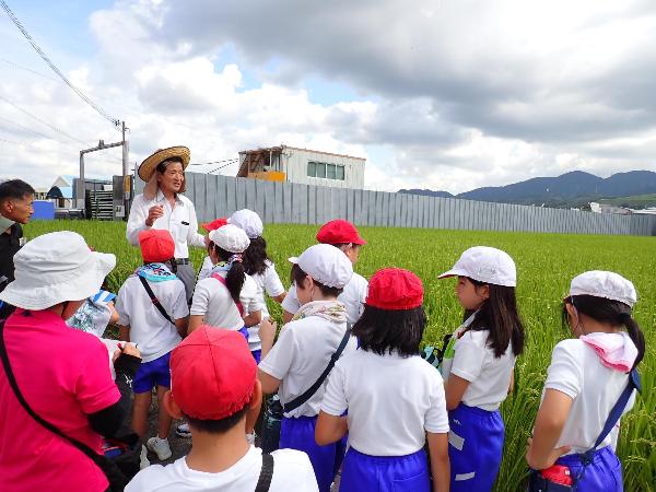 水稲のお話を聞く赤阪小学校3年生