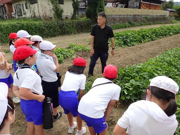 さつまいもの説明を聞く赤阪小学校3年生