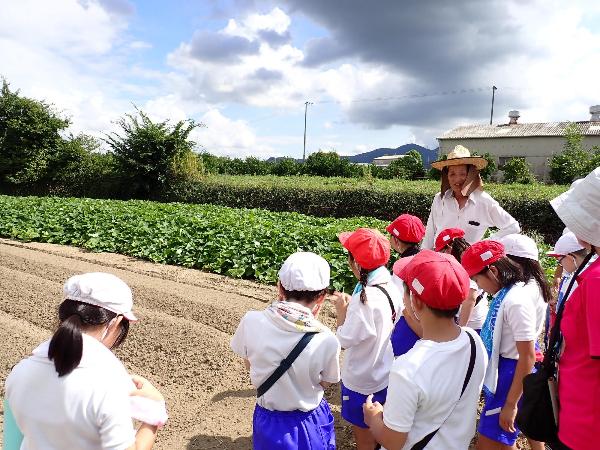 食育のようす(赤阪小学校3年生「農家の仕事」)