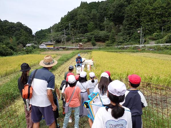 千早赤阪村の農家さんに、稲刈りの様子を見せてもらっている千早小吹台小学校3年生