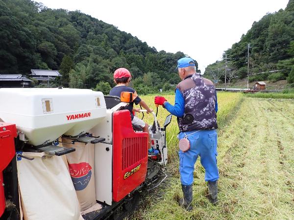 コンバインに乗って稲刈り体験をさせてもらう千早小吹台小学校3年生