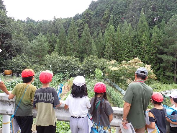 食育のようす(千早小吹台小学校3年生総合「千早赤阪村の良さ・食」)