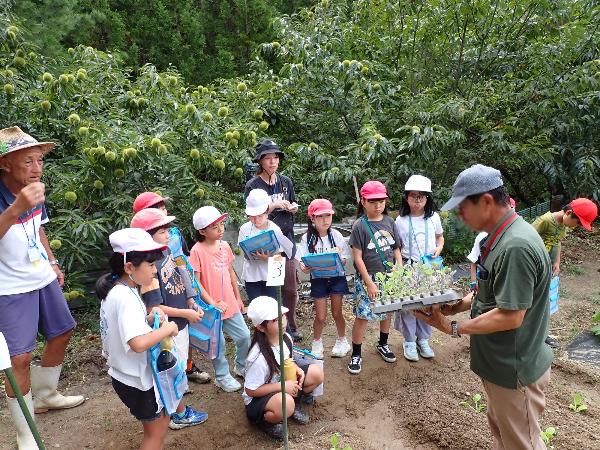 苗を見せてもらう千早小吹台小学校3年生