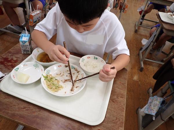 がんばって骨から身をとろうとする赤阪小学校3年生