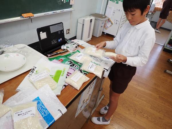 新米のサンプルと袋を見比べる赤阪小学校5年生