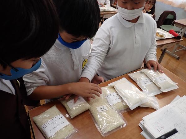 新米のサンプルを見比べる赤阪小学校4年生