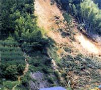 土砂崩れで山が崩れている写真