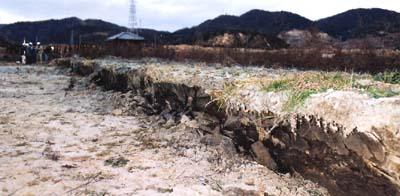 北淡町（淡路島）の震源地の地上に出現した断層の写真