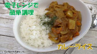 カレーライスの写真